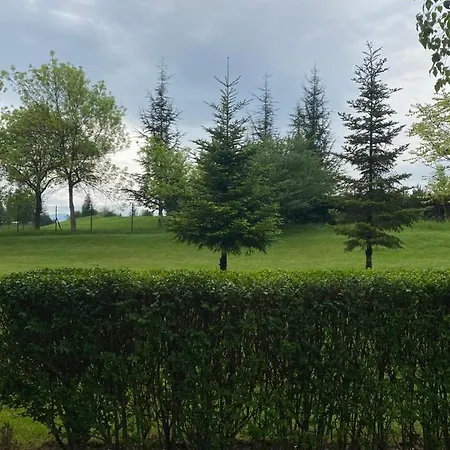 In Golf At * 프라베츠